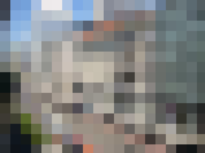 Image 33