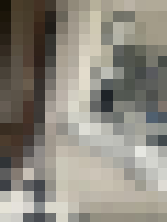 Image 37