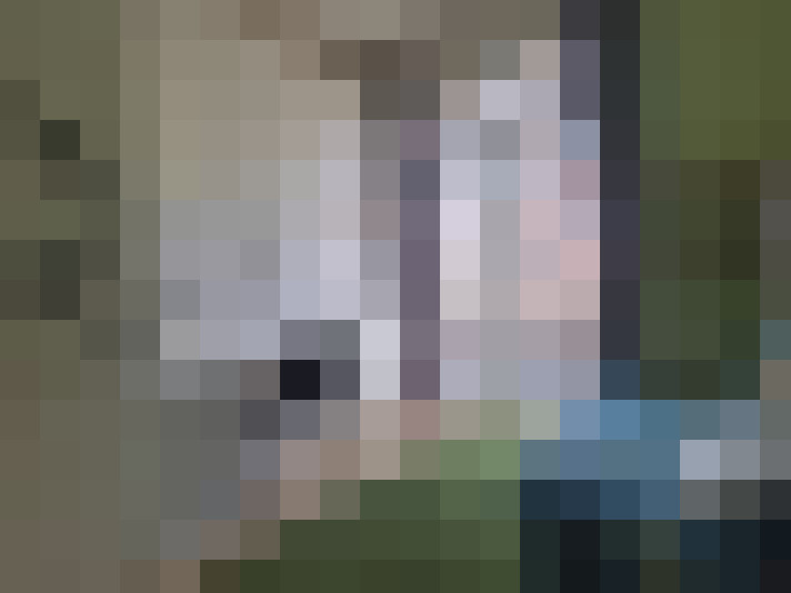  / #16