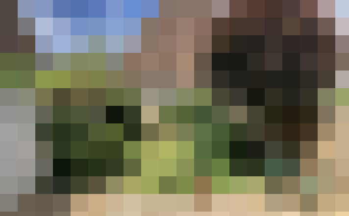 Image 17