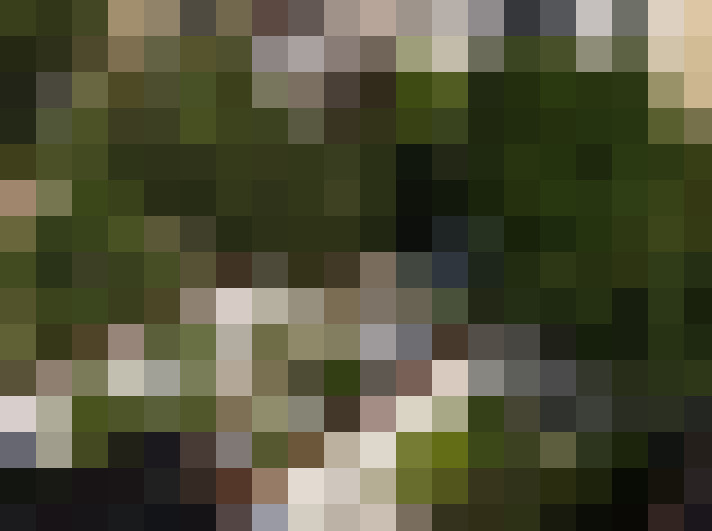 Image 28