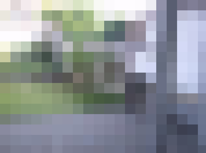 Image 30