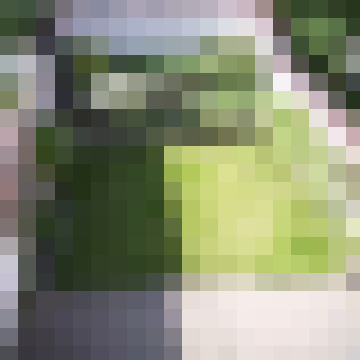 Image 20