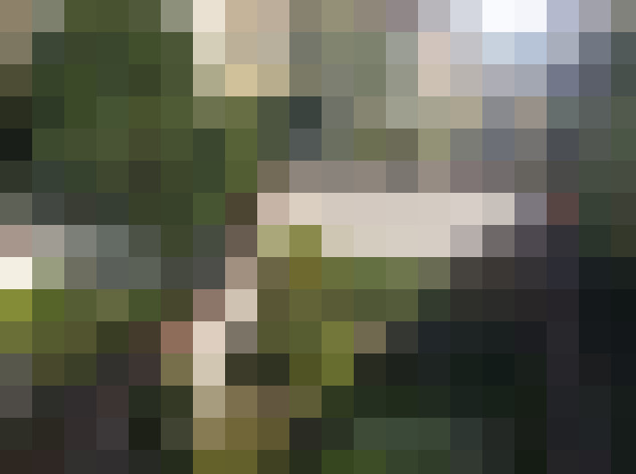 Image 31