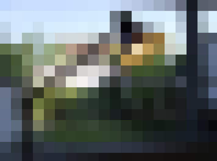 Image 29
