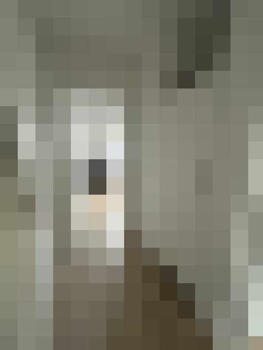 Image 18