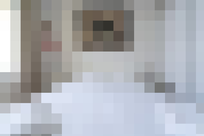 Image 41