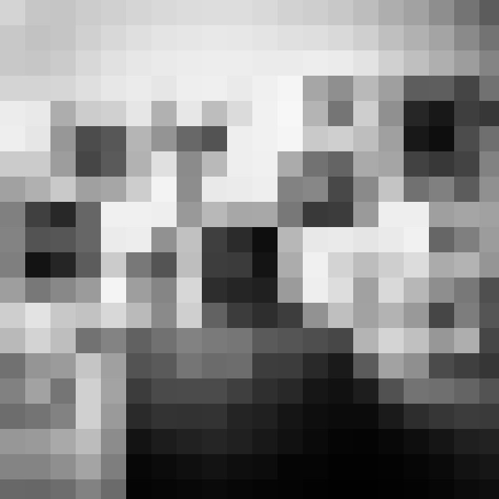 Image 22