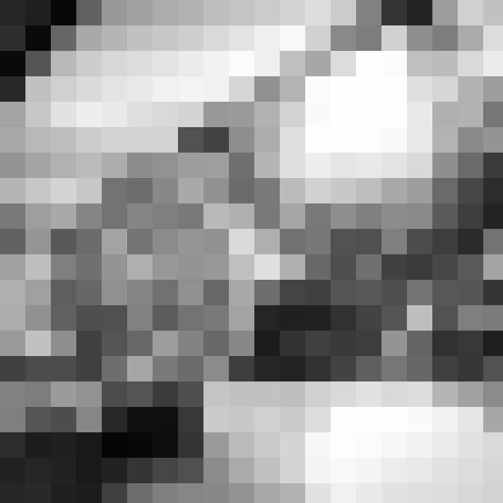 Image 23