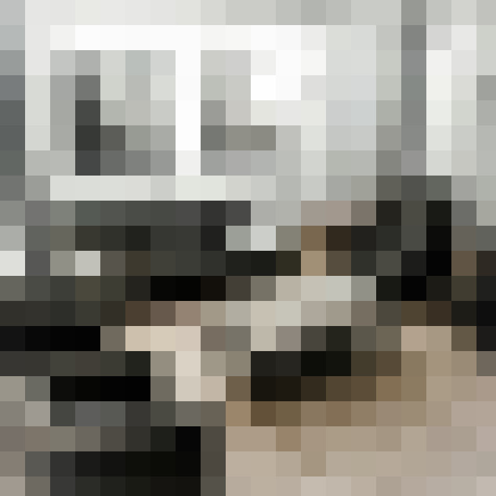 Image 21