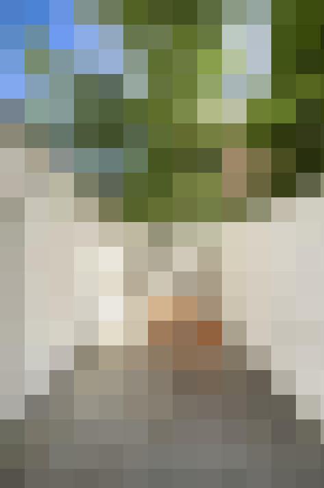 Image 17
