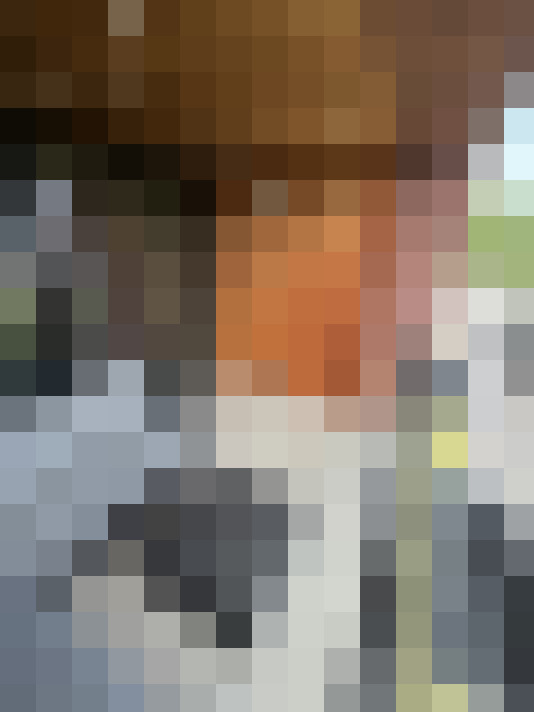 Image 15