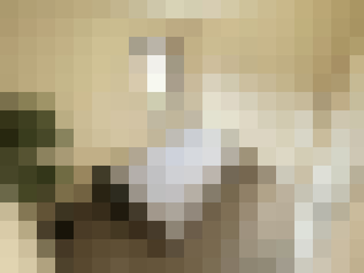 Image 13