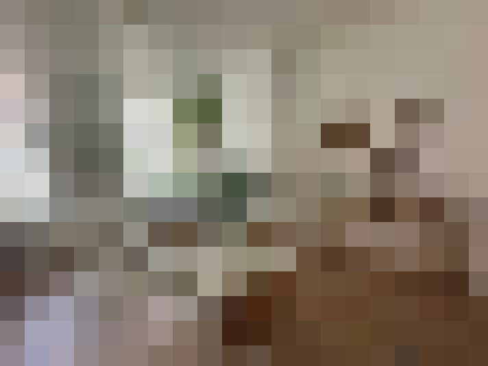 Image 13