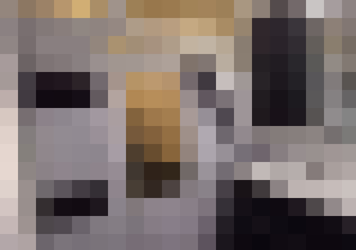 Image 14