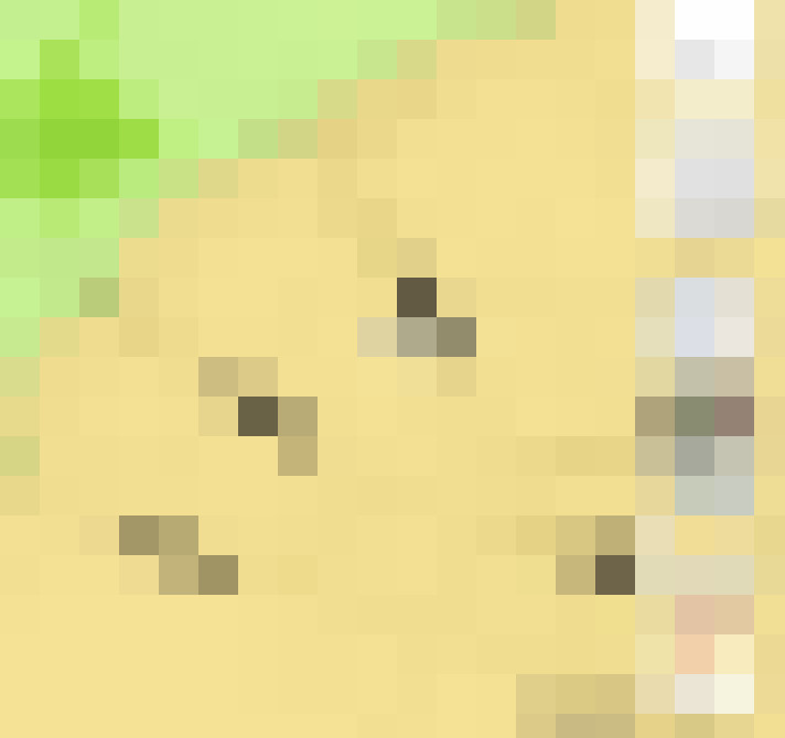 Image 28