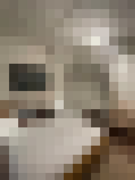 Image 22
