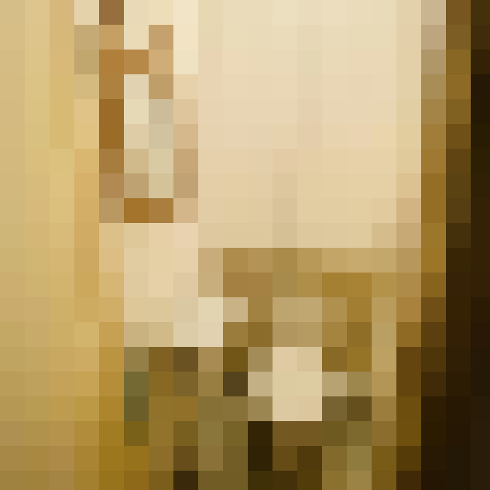 Image 14