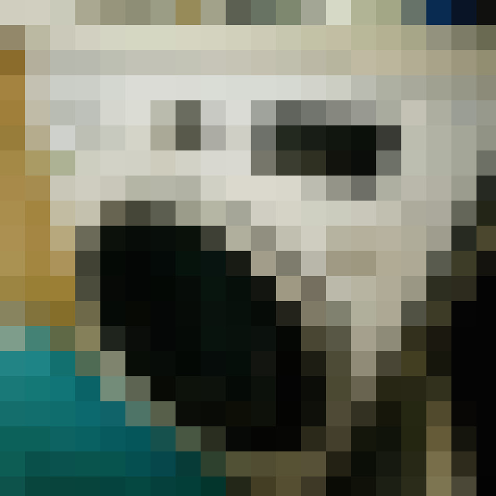 Image 9