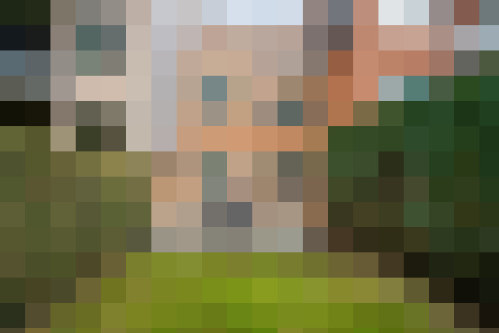 Image 13