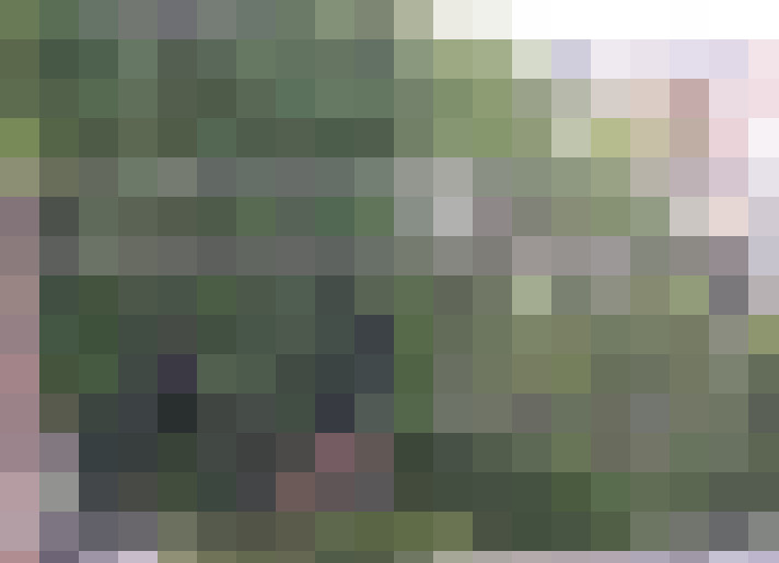 Image 15