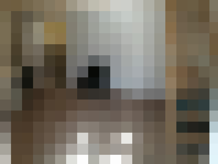 Image 15