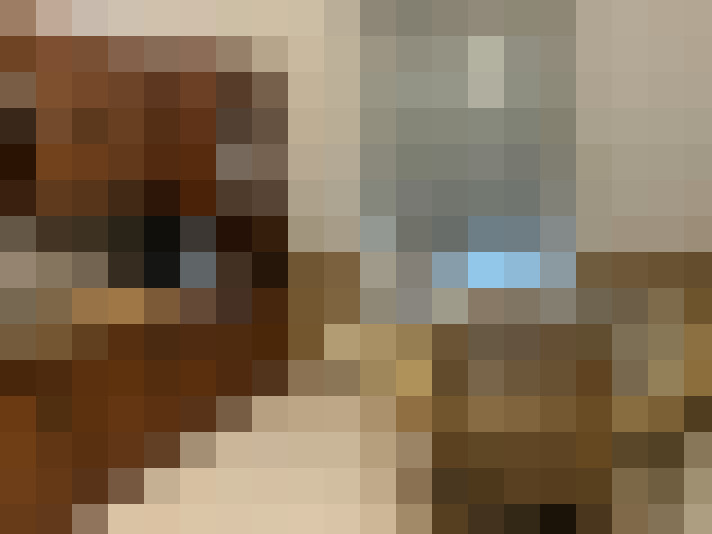 Image 17