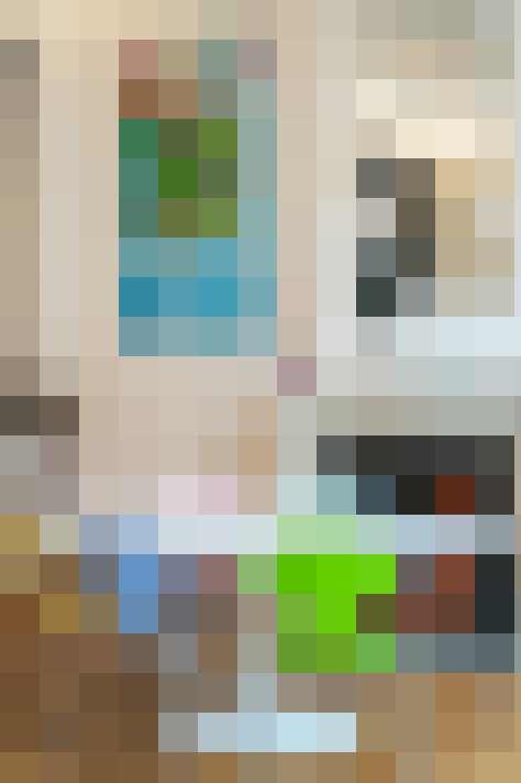 Image 32
