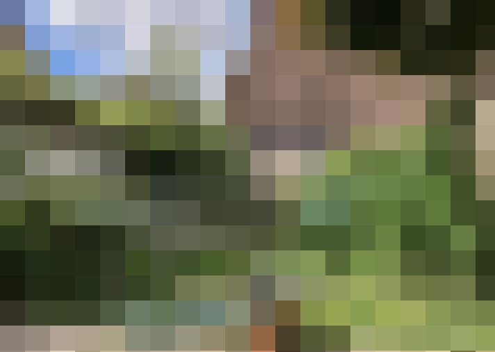Image 15