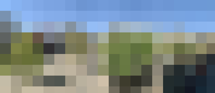 Image 21