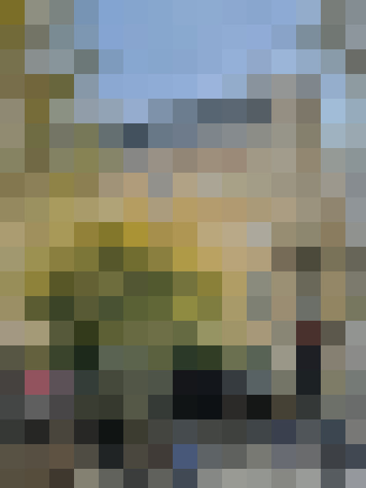 Image 13