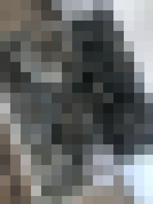Image 15