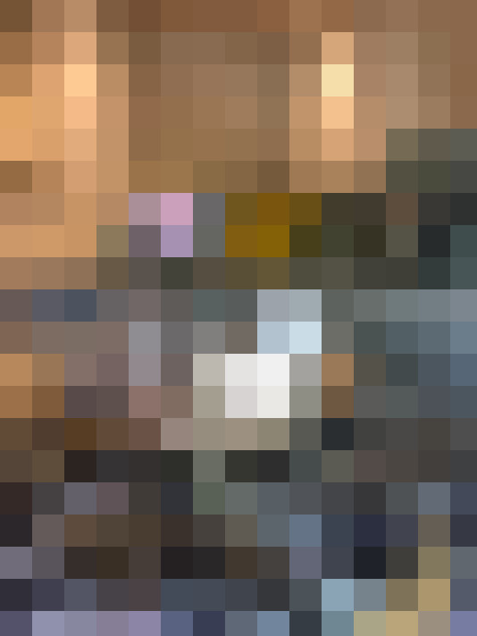 Image 13