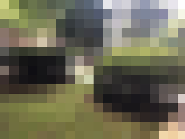 Image 18