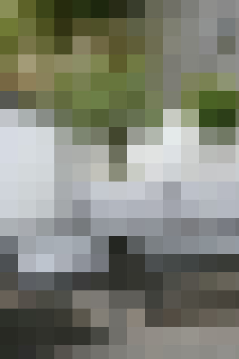 Image 17