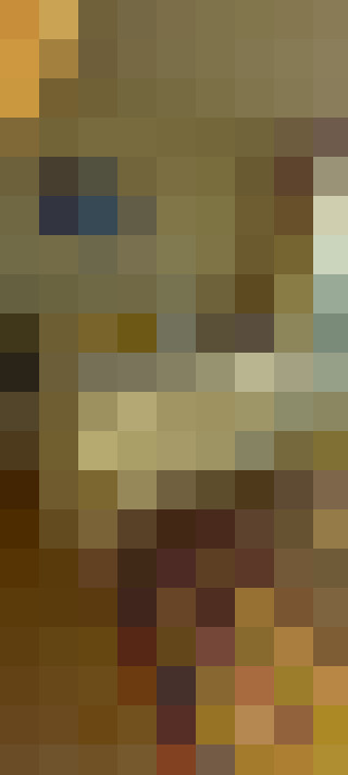 Image 17