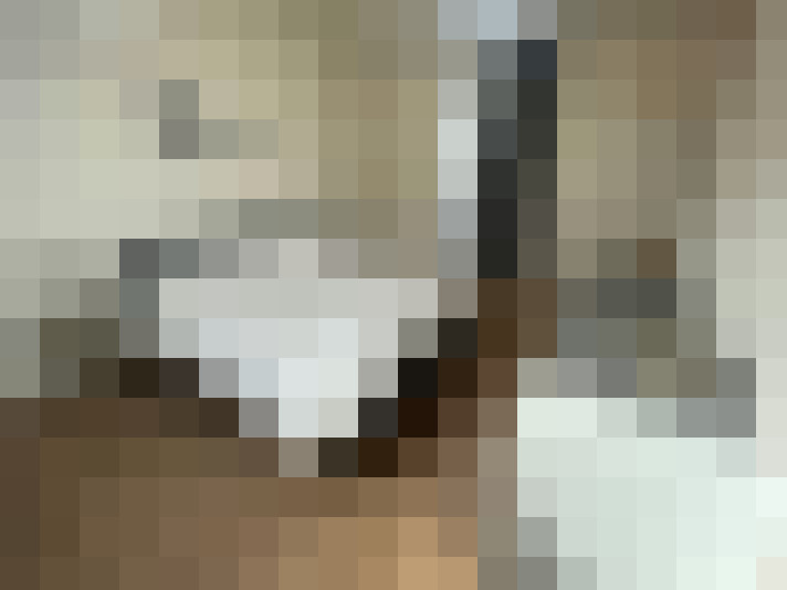 Image 28