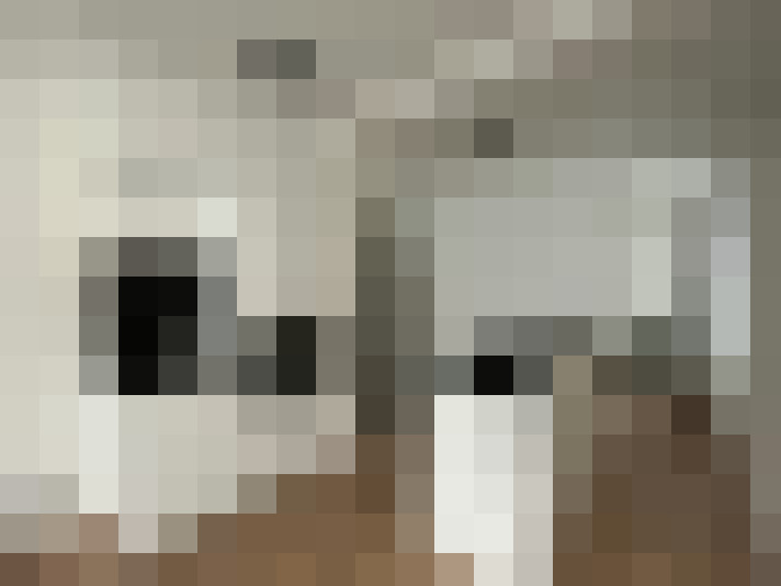 Image 14