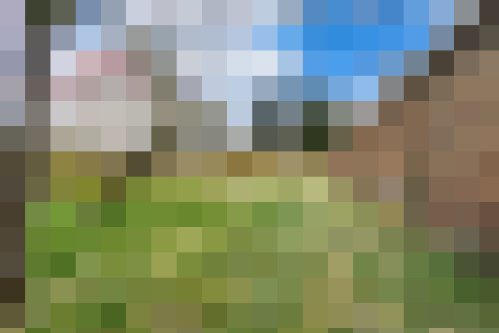 Image 13