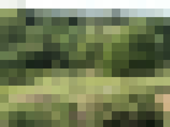 Image 18