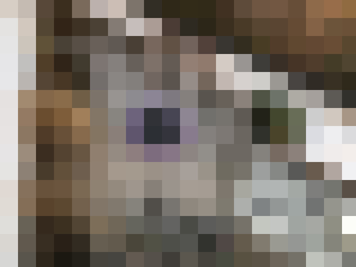 Image 14