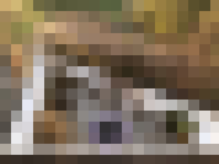 Image 17