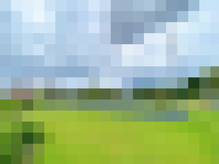 Image 22