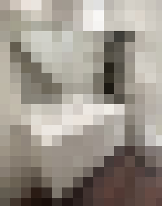 Image 31