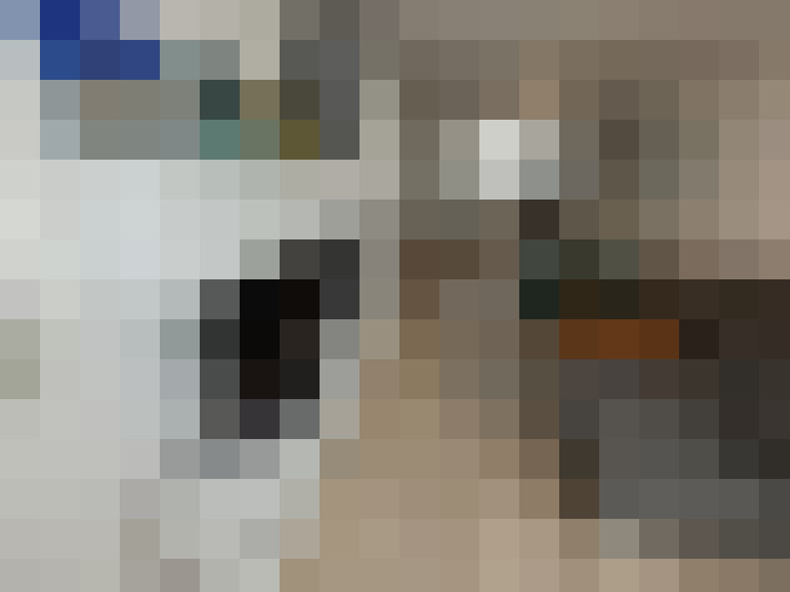 Image 66