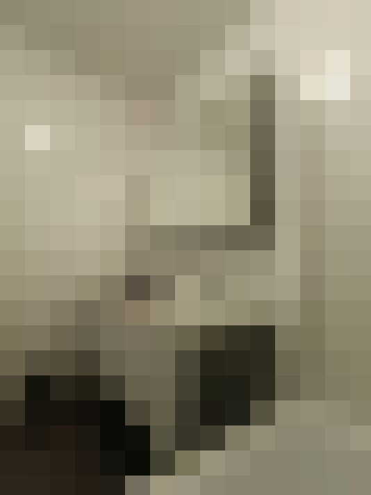 Image 41
