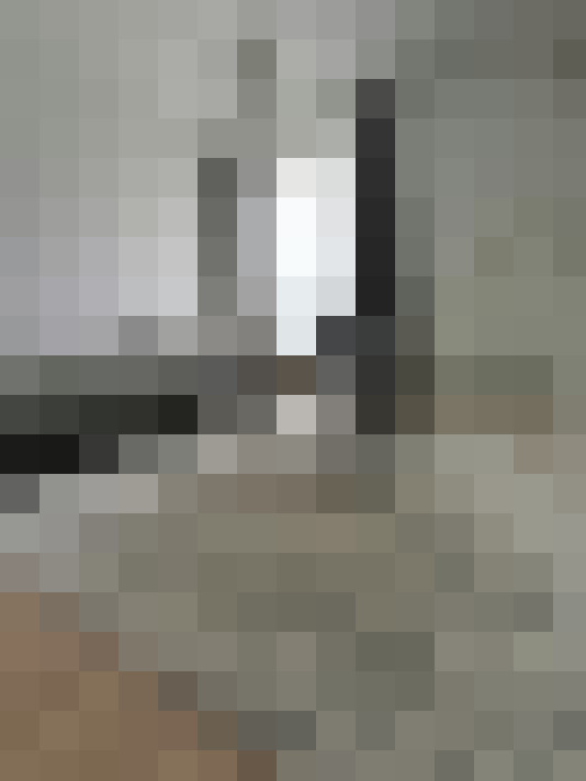 Image 29