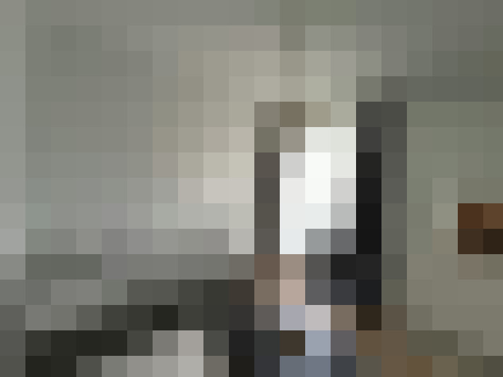 Image 30