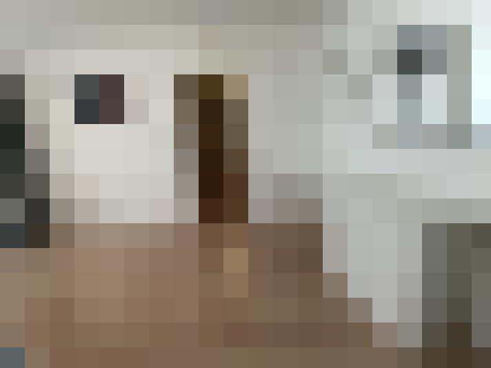 Image 51