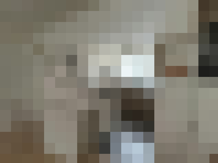 Image 52